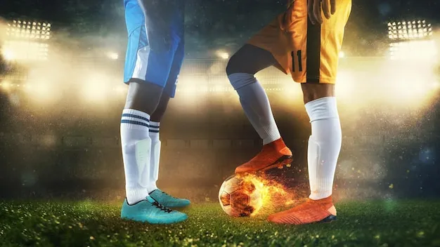 用户在手机上使用米兰体育APP